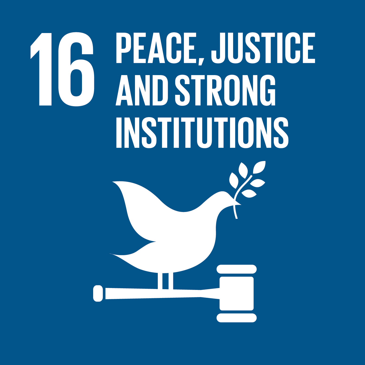 UN Sustainable Development Goal 16: Peace, Justice and Strong Institutions